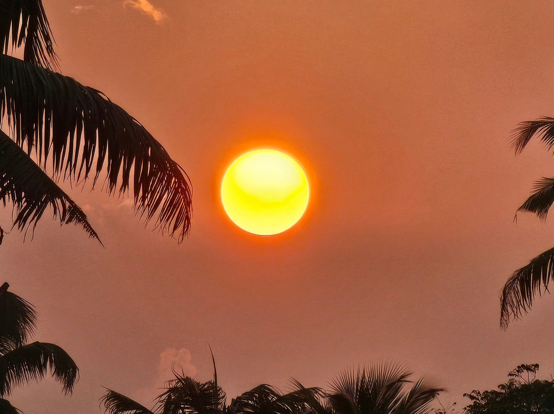 玛雅丽海滩 - 席格地球主图