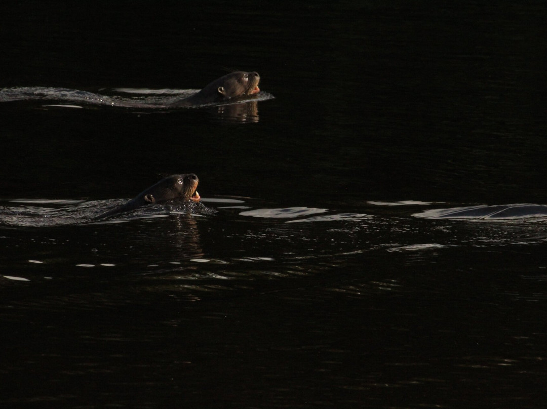 Finca Sachavacayoc lodge主图