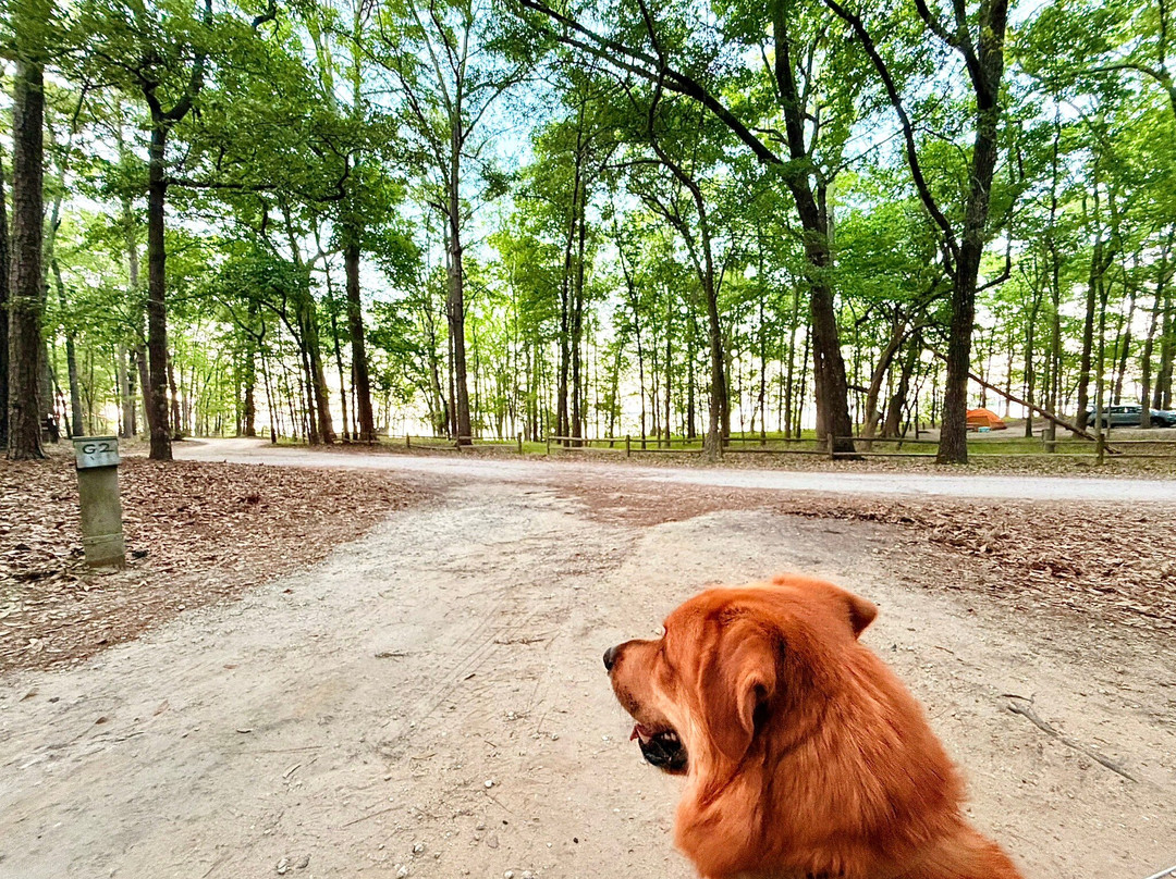 Santee State Park-Santee必去景点