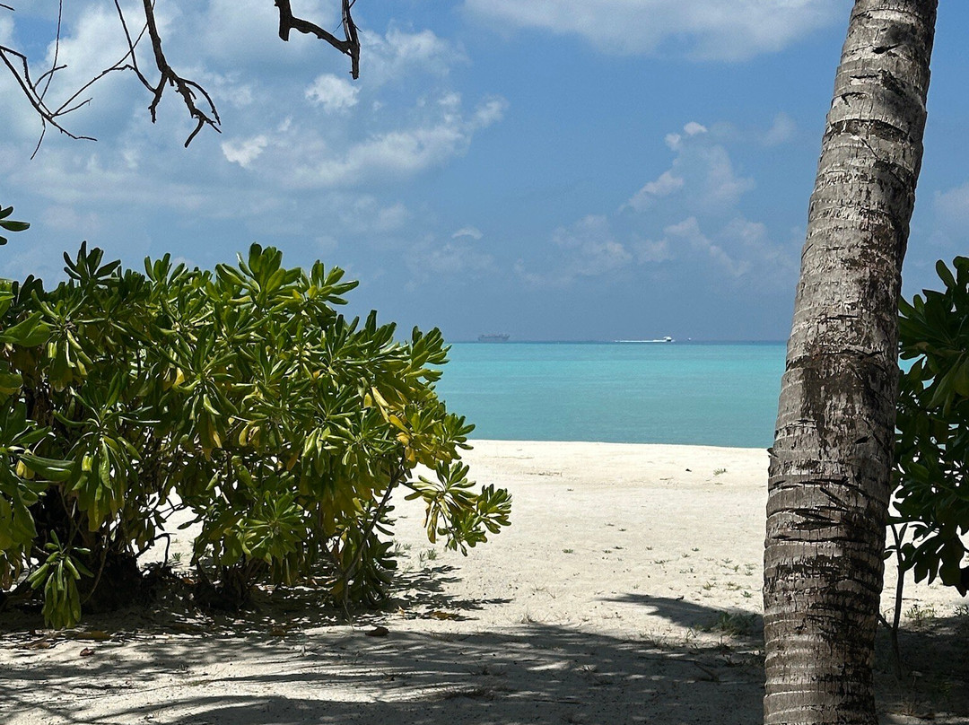 泰姬度假温泉酒店主图