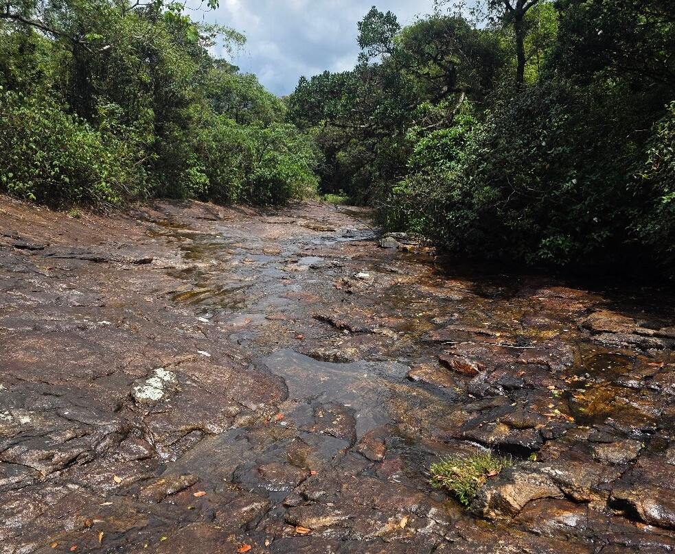 Sri Lanka Knuckles Trekking-康提必去景点