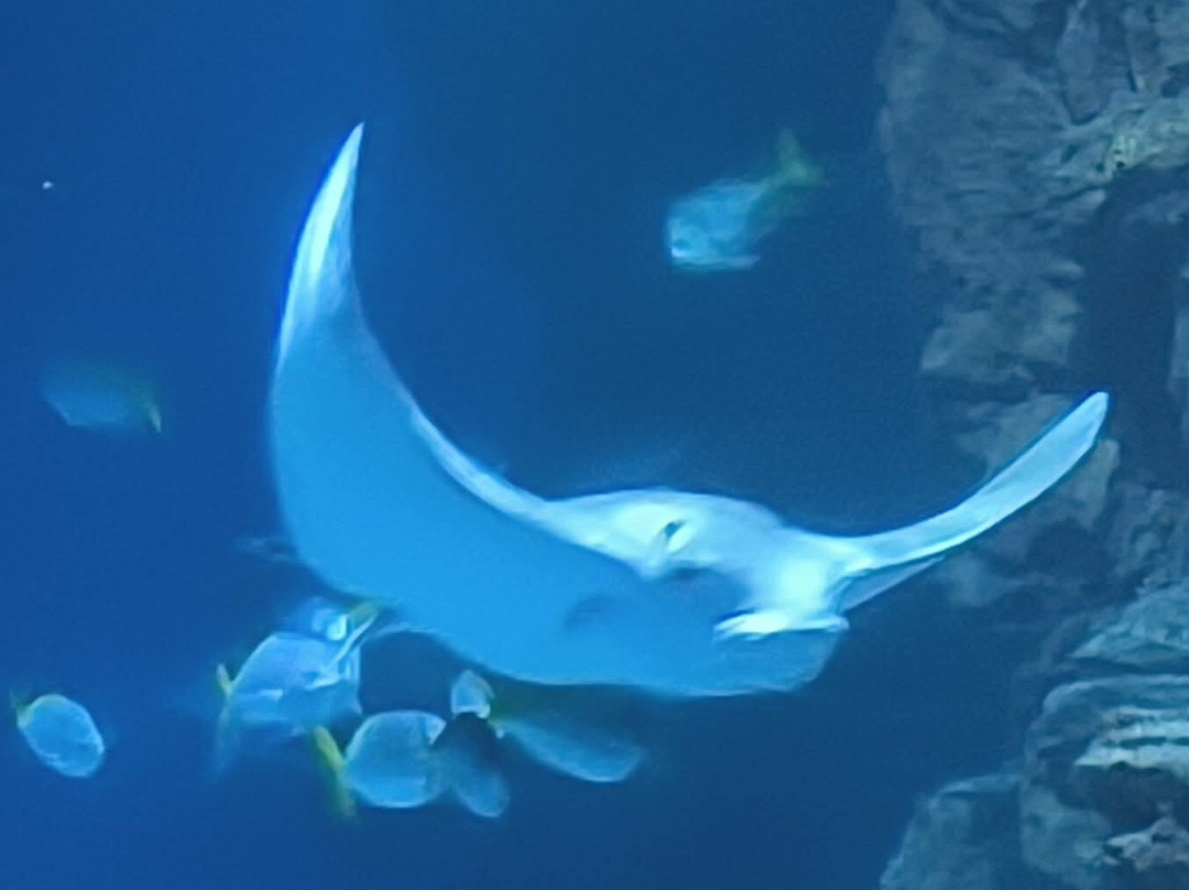 Planet Ocean Montpellier-蒙彼利埃必去景点