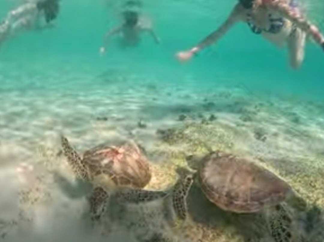 Sup Gili-Tanjung必去景点
