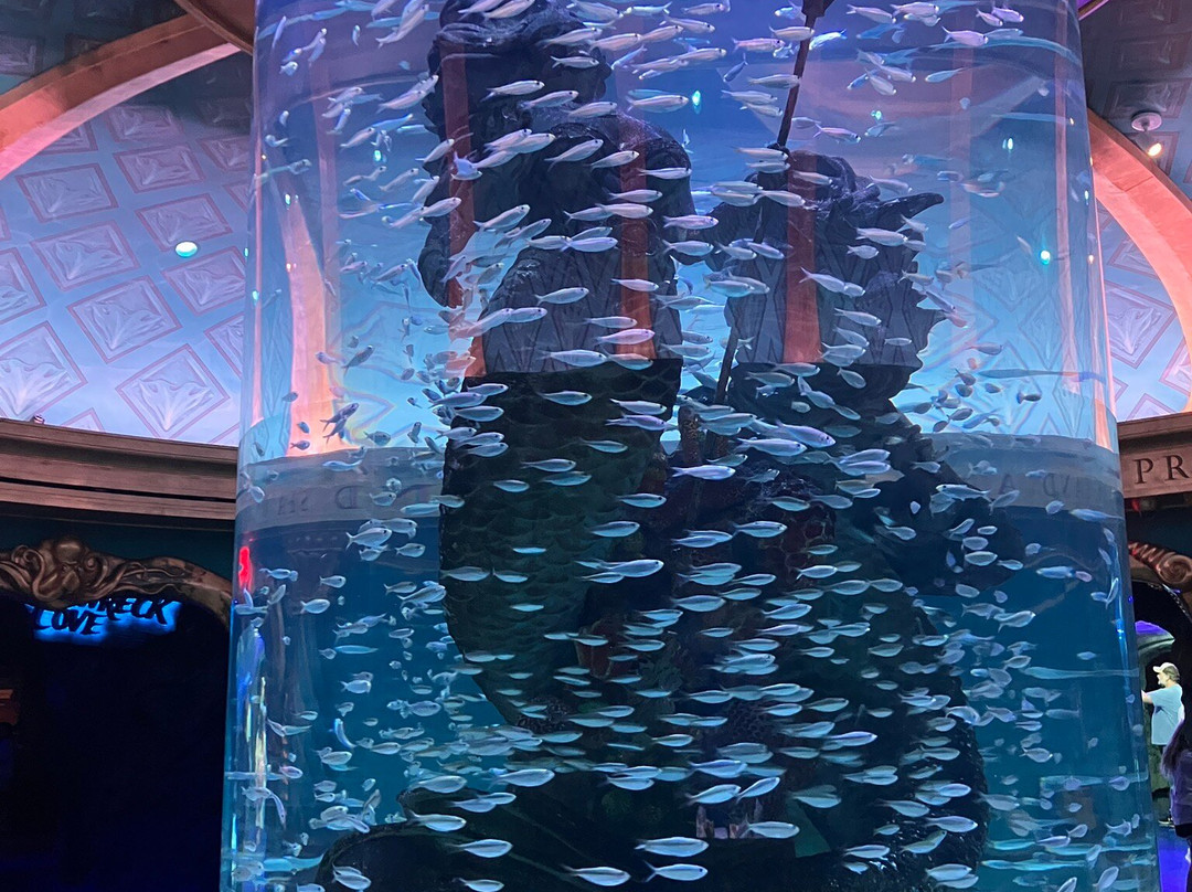 Aquarium At The Boardwalk-布兰森必去景点