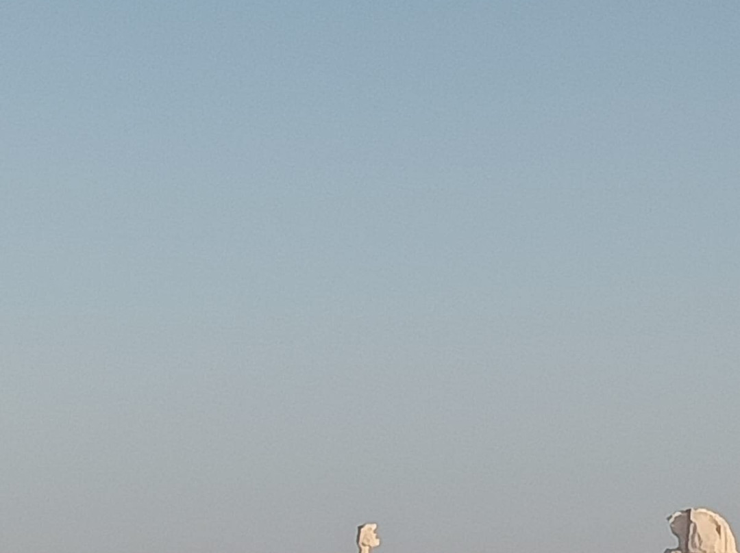 Bahariya Oasis Desert-Bahariya Oasis必去景点