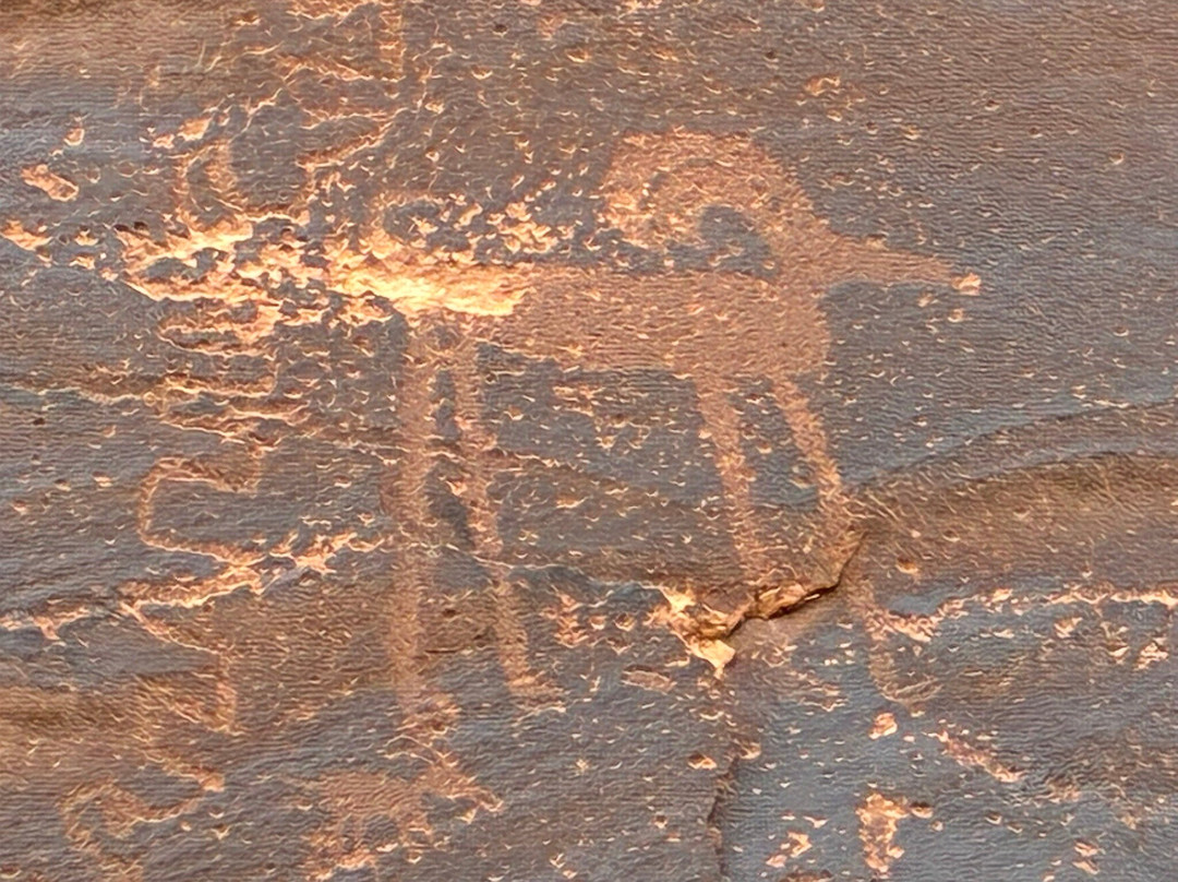 Mule Canyon Ruins-布兰丁必去景点