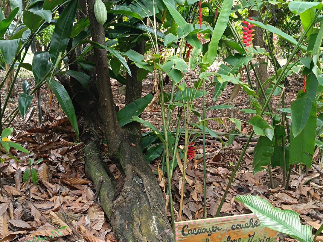La Maison du Cacao-Pointe-Noire必去景点