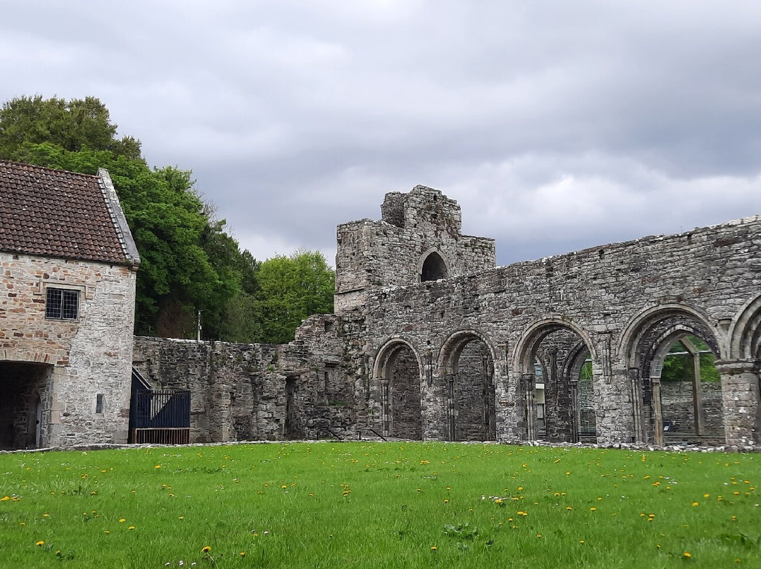 Boyle Abbey-Boyle必去景点
