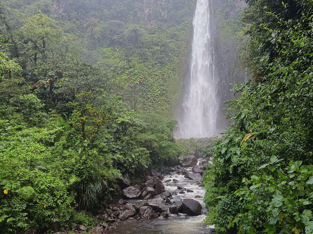 Carbet Falls (Les Chutes du Carbet)-Parc National必去景点
