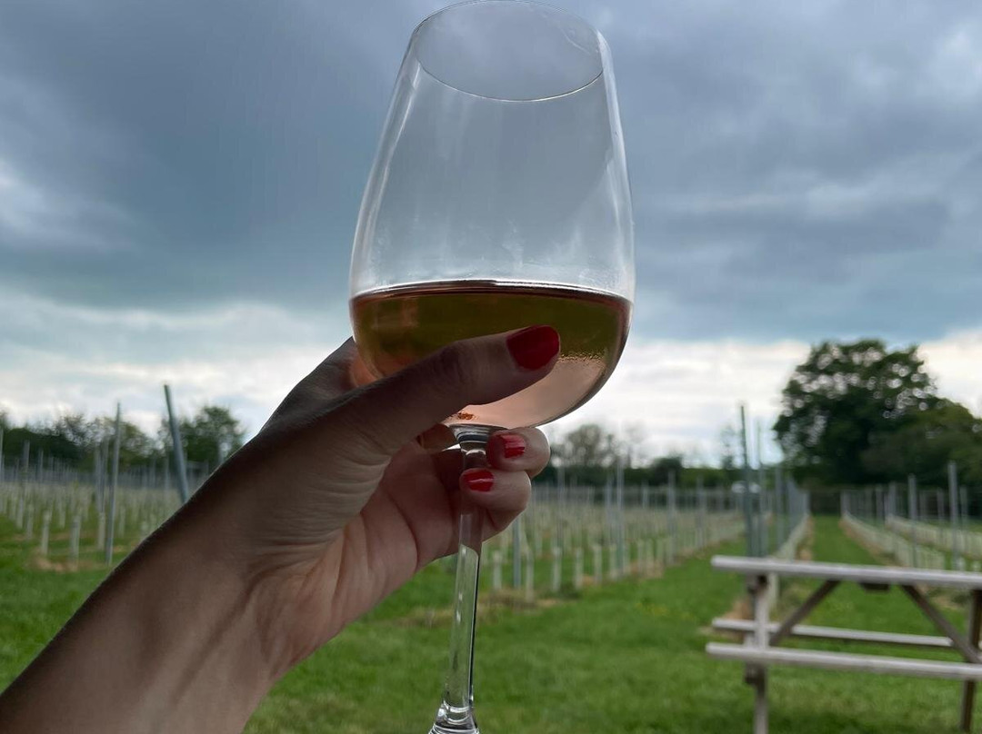The Dell Vineyard-Raglan必去景点