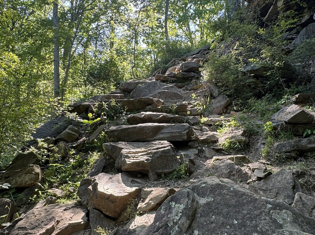 Ozone Falls State Natural Area-Crab Orchard必去景点