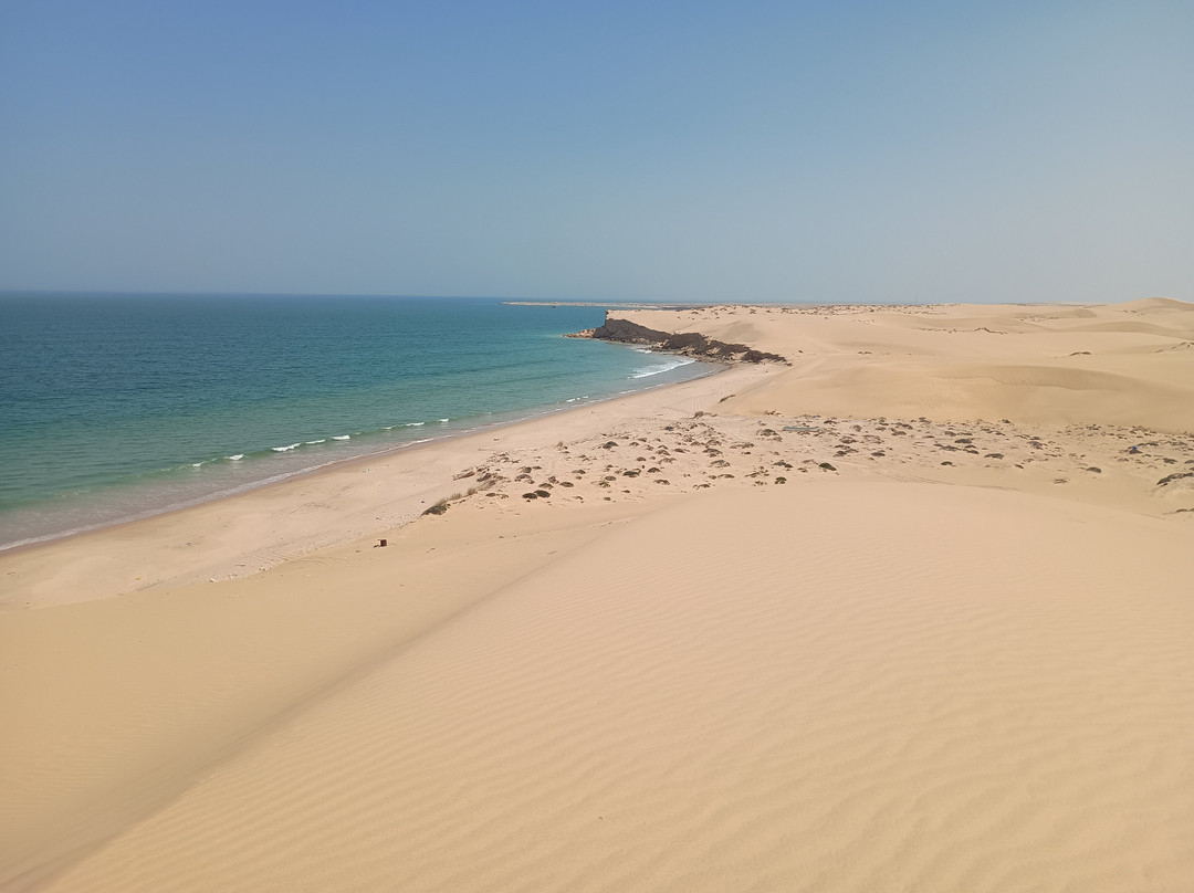 Desert Camels Adventure Tours-尼日瓦必去景点