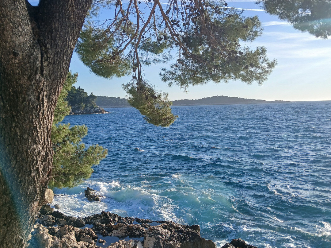 Cavtat Old Town-察夫塔特必去景点
