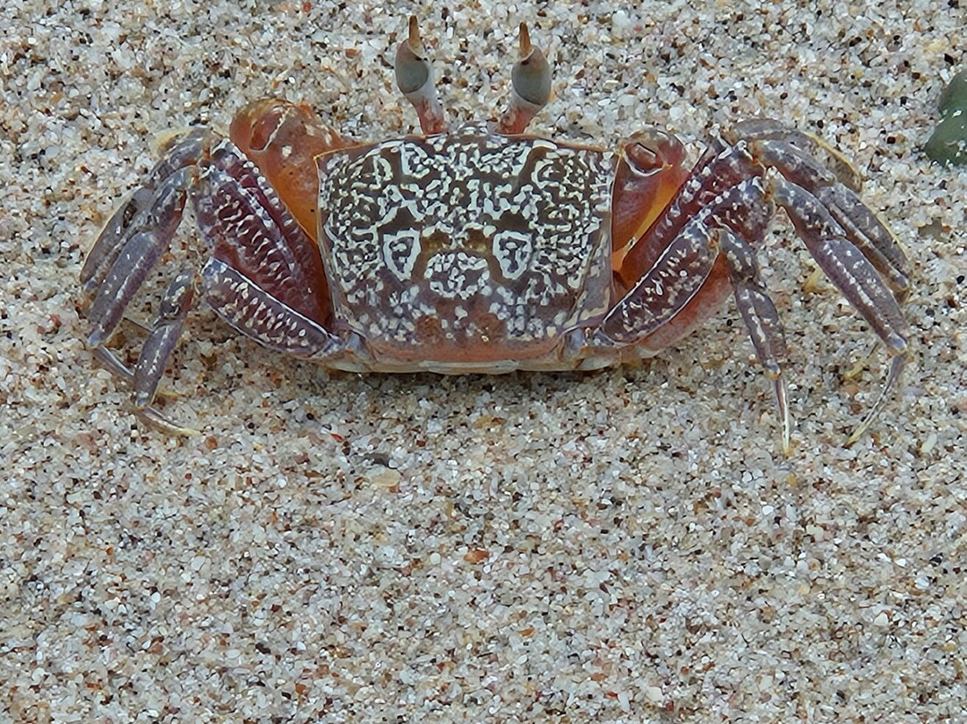 Playa Garza