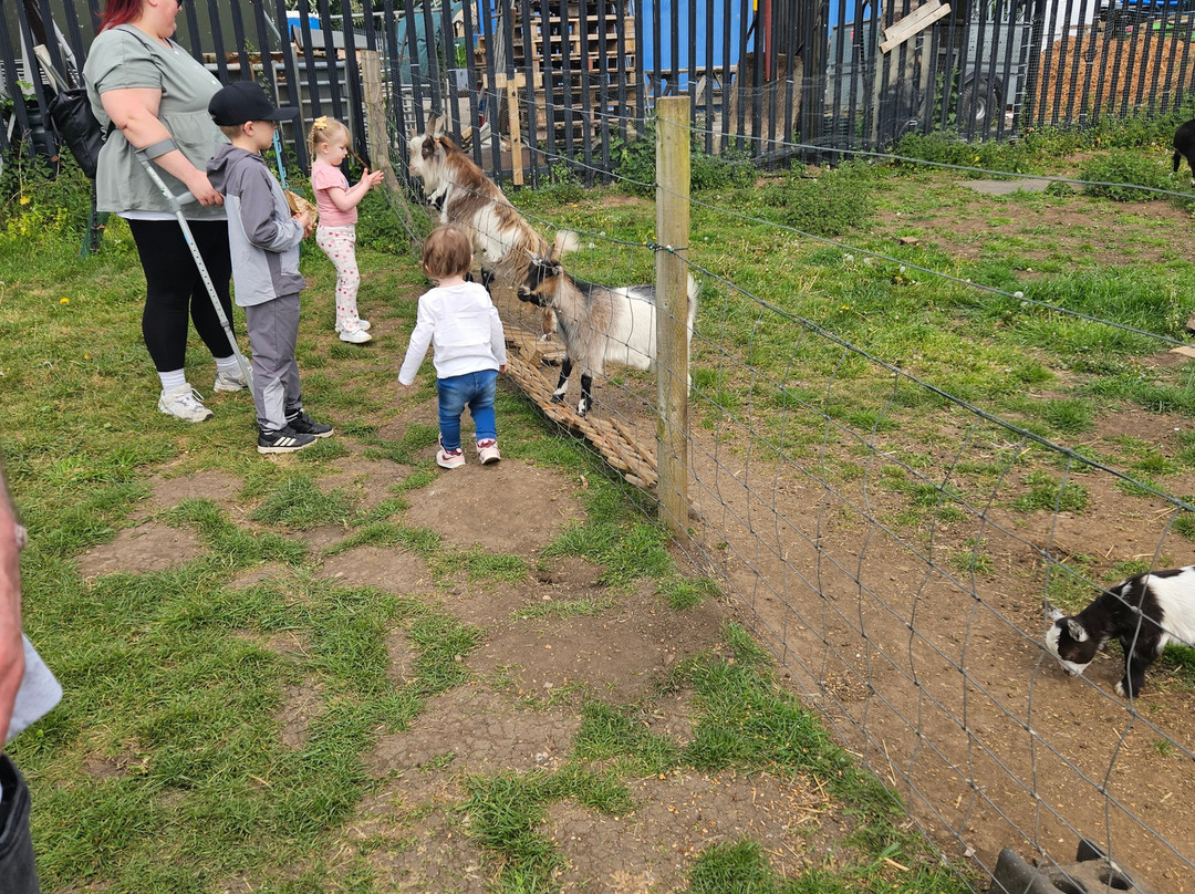 Willow Tree Family Farm-Shirebrook必去景点