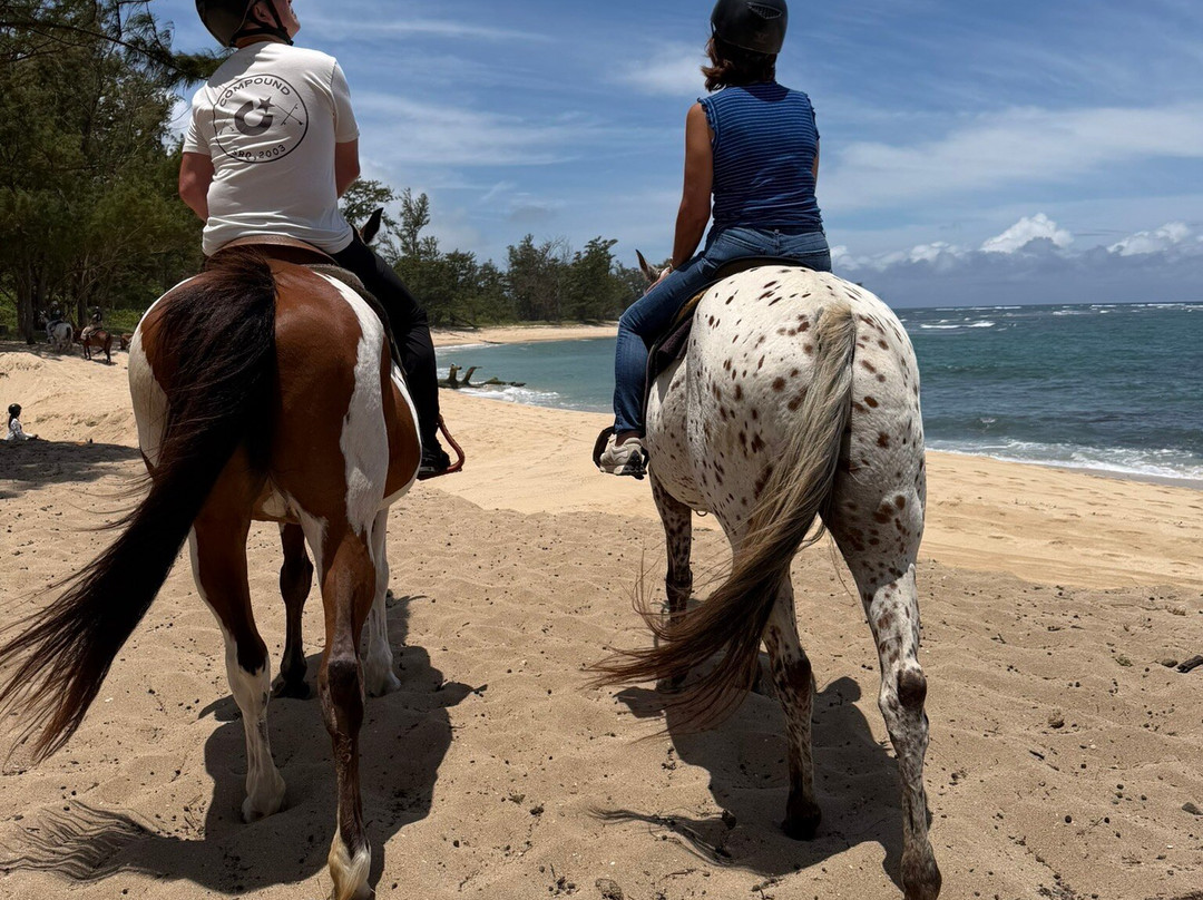 Hawaii Polo Trail Rides-瓦亚禄必去景点