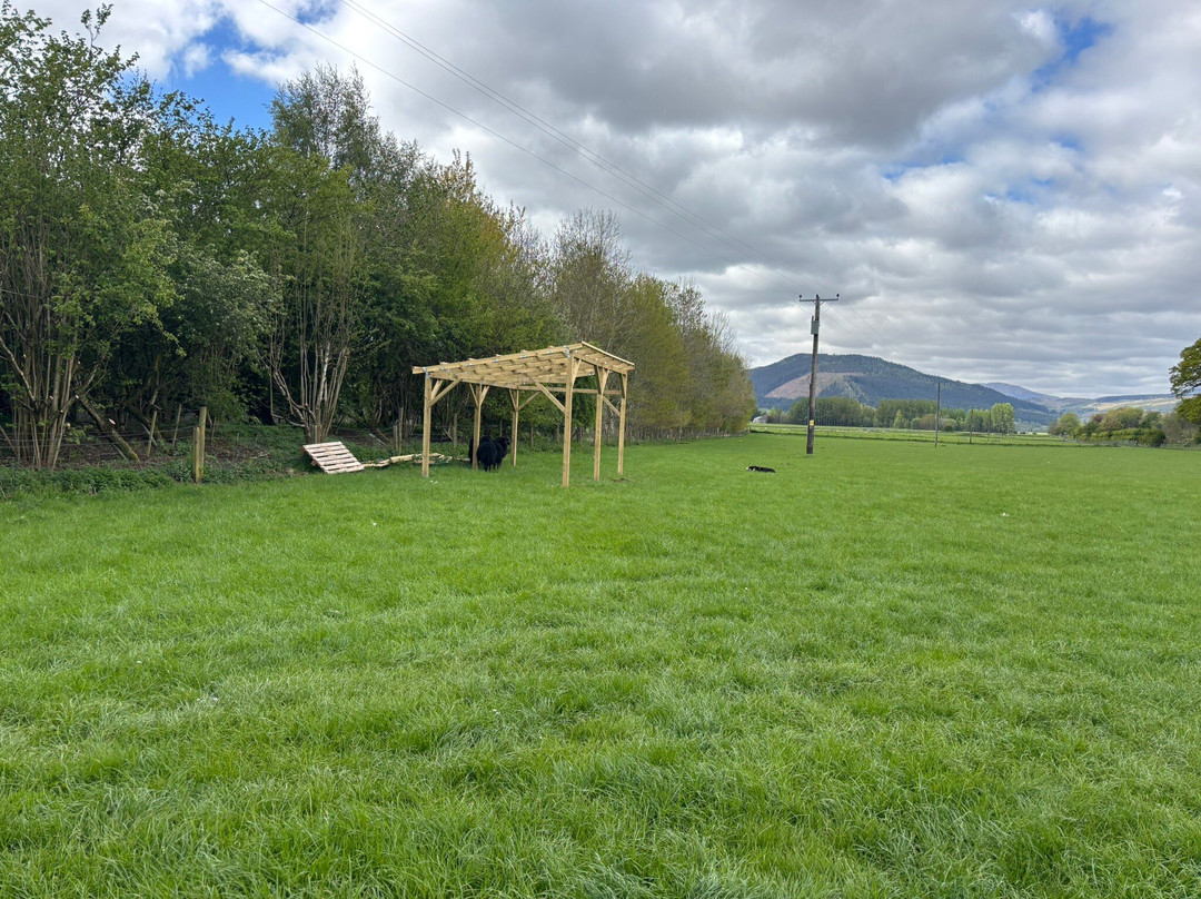 Lurgan Farm-Aberfeldy必去景点