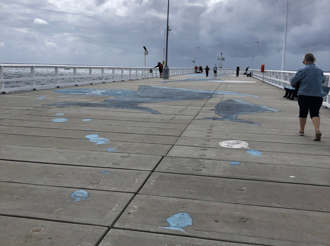 Busselton Jetty-巴瑟尔顿必去景点
