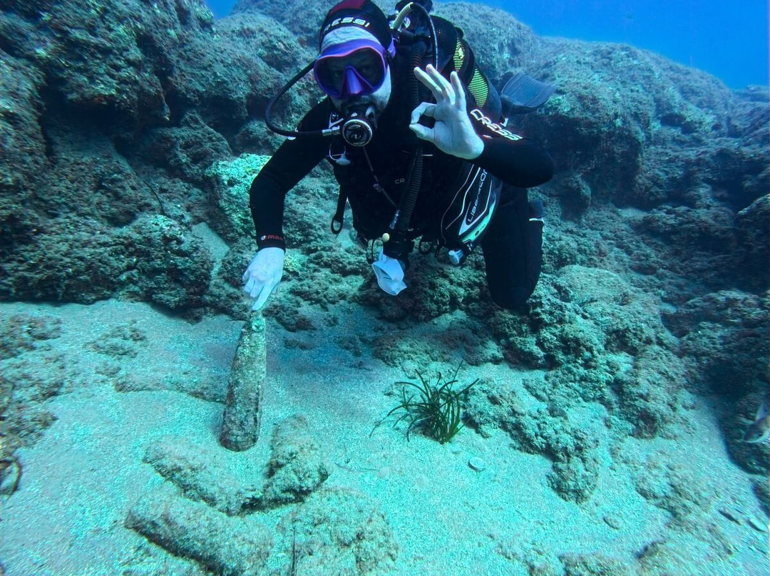 Dolphin Diving Center-雷斯蒙必去景点