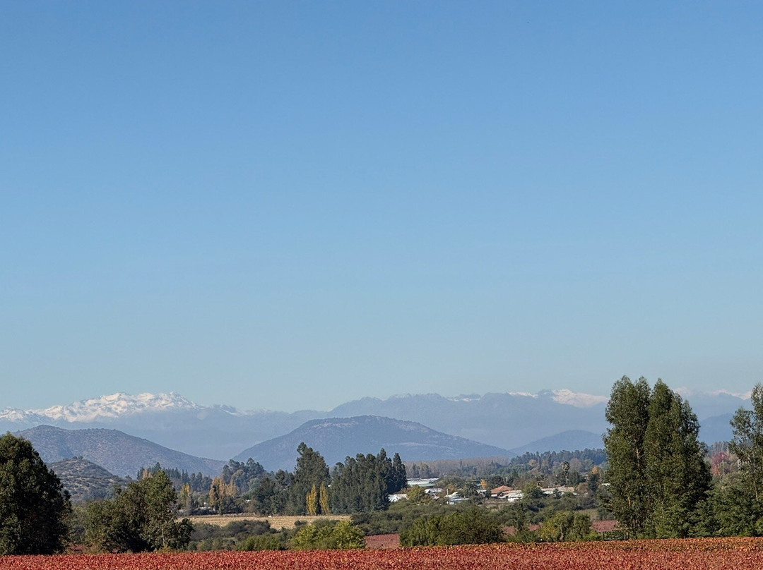 Colchagua Wine Tours-圣克鲁斯必去景点