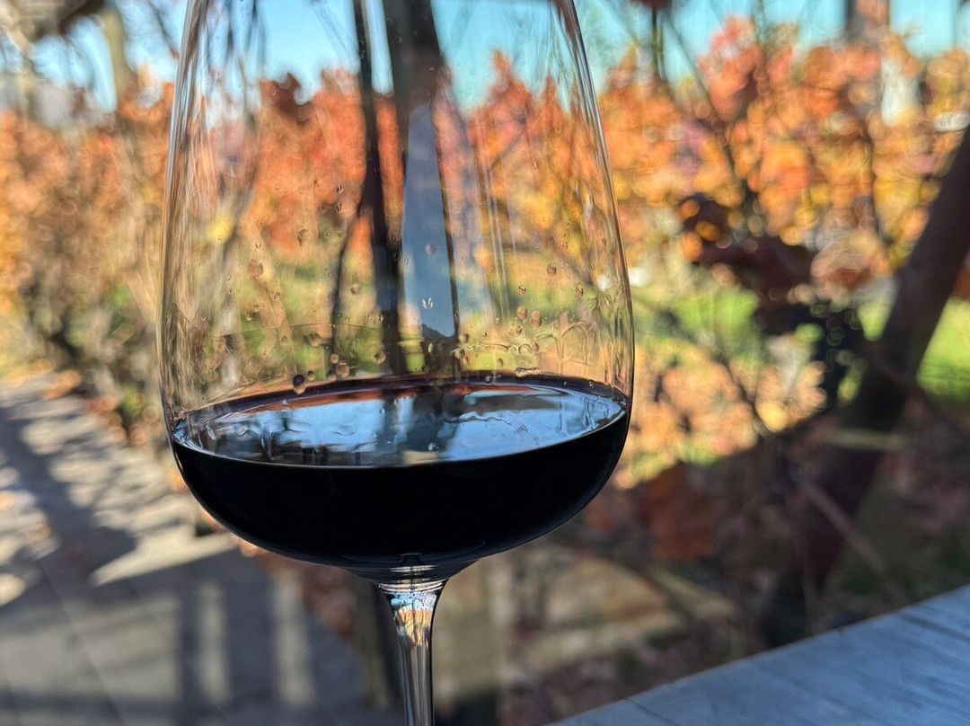 Colchagua Wine Tours-圣克鲁斯必去景点