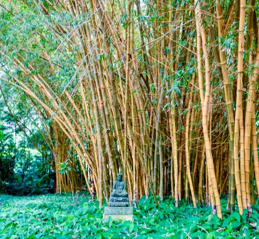 国家热带植物园-坡伊普必去景点