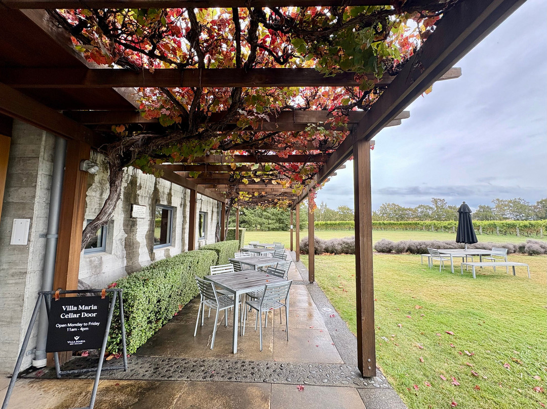 Villa Maria Estate Marlborough Winery-布伦海姆必去景点