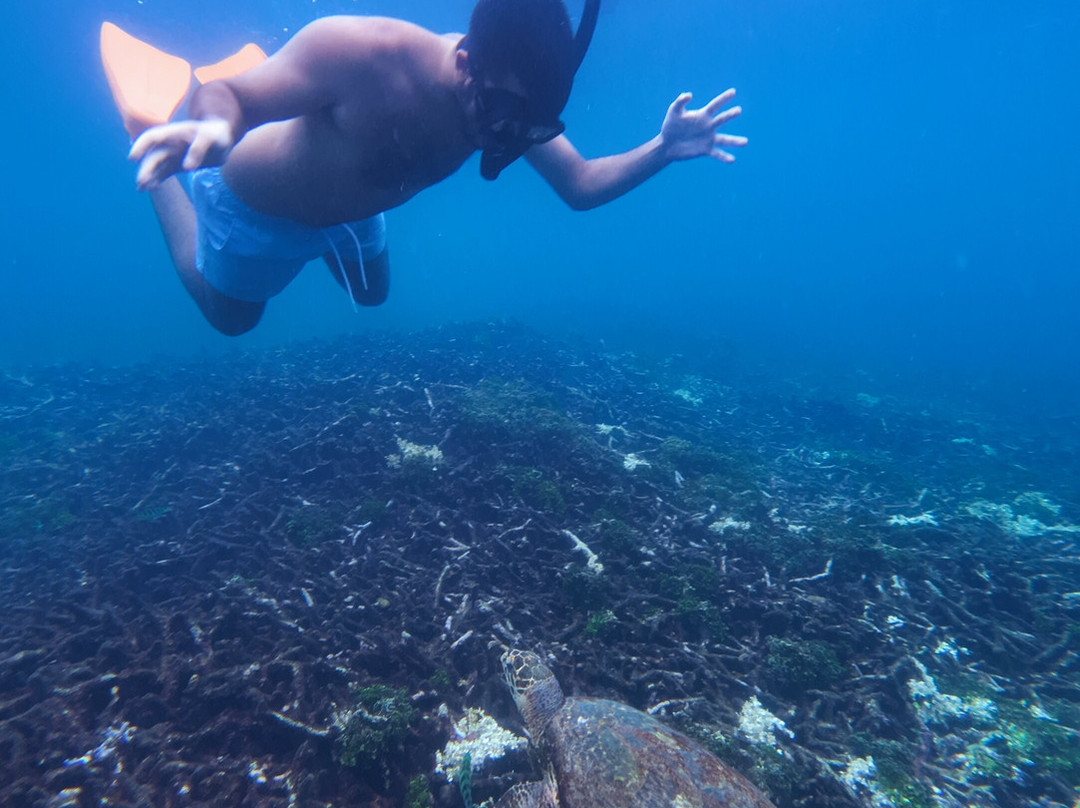 Trinco Water Sport Tours-Trincomalee必去景点