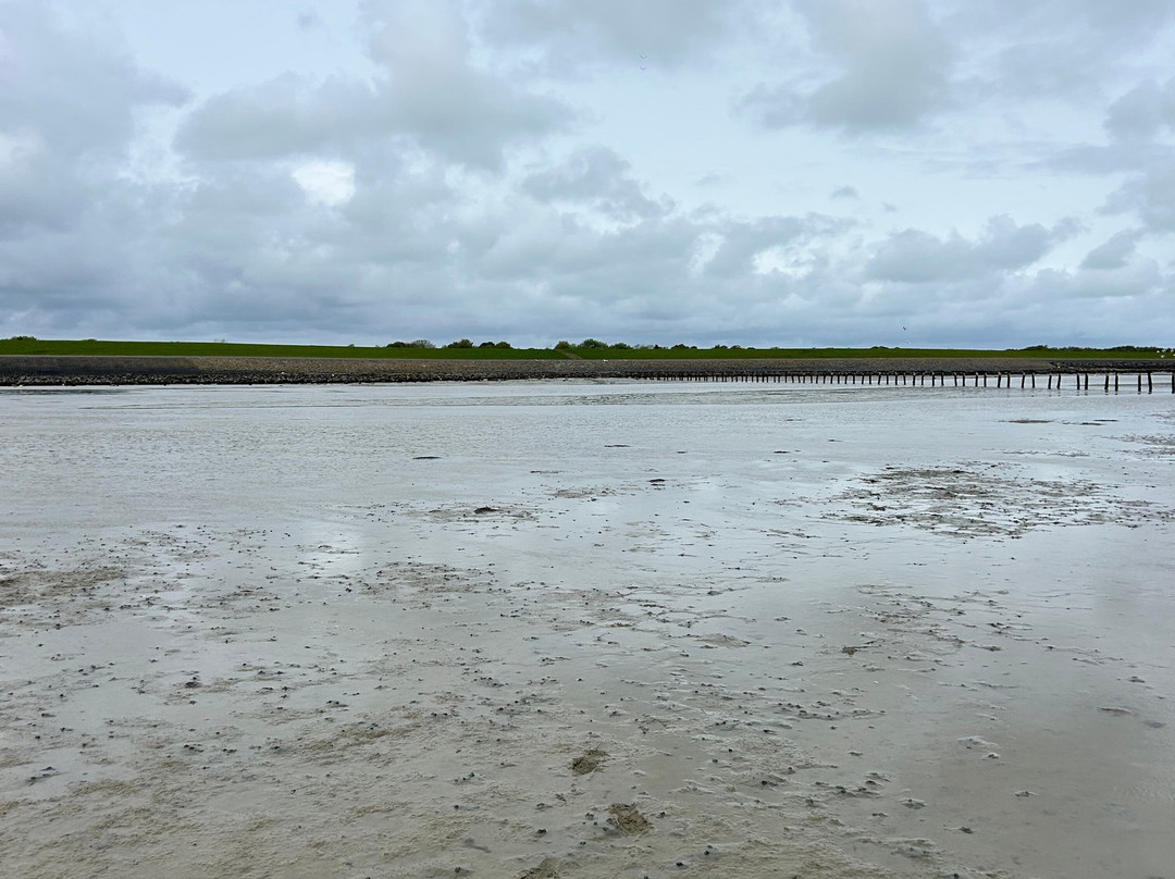Puur Terschelling-Terschelling必去景点