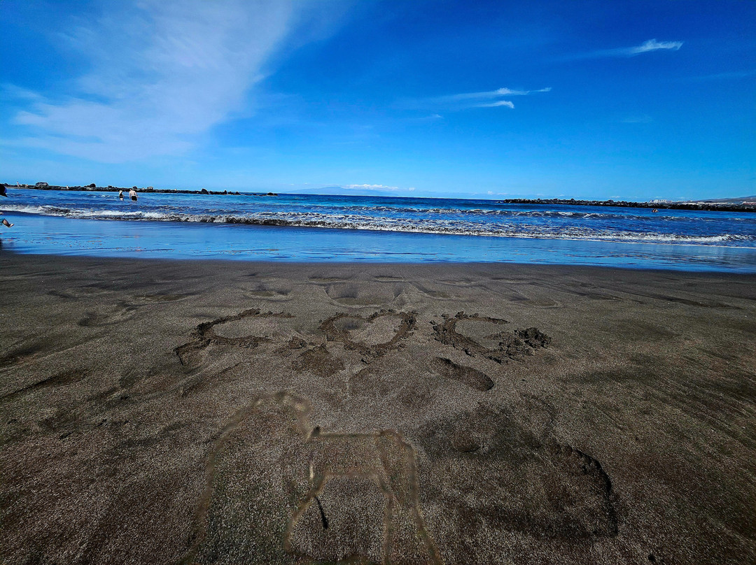 Playa de Benijo-Almaciga必去景点