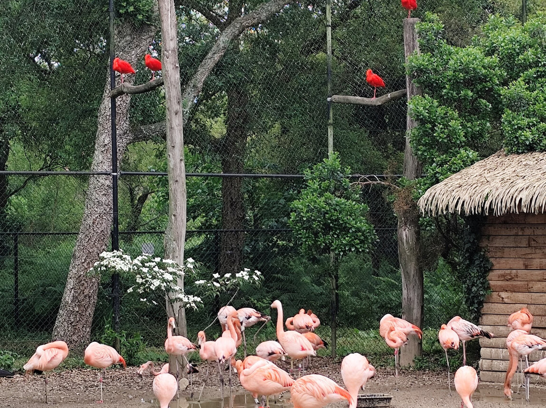 Zoo De Labenne-Labenne必去景点
