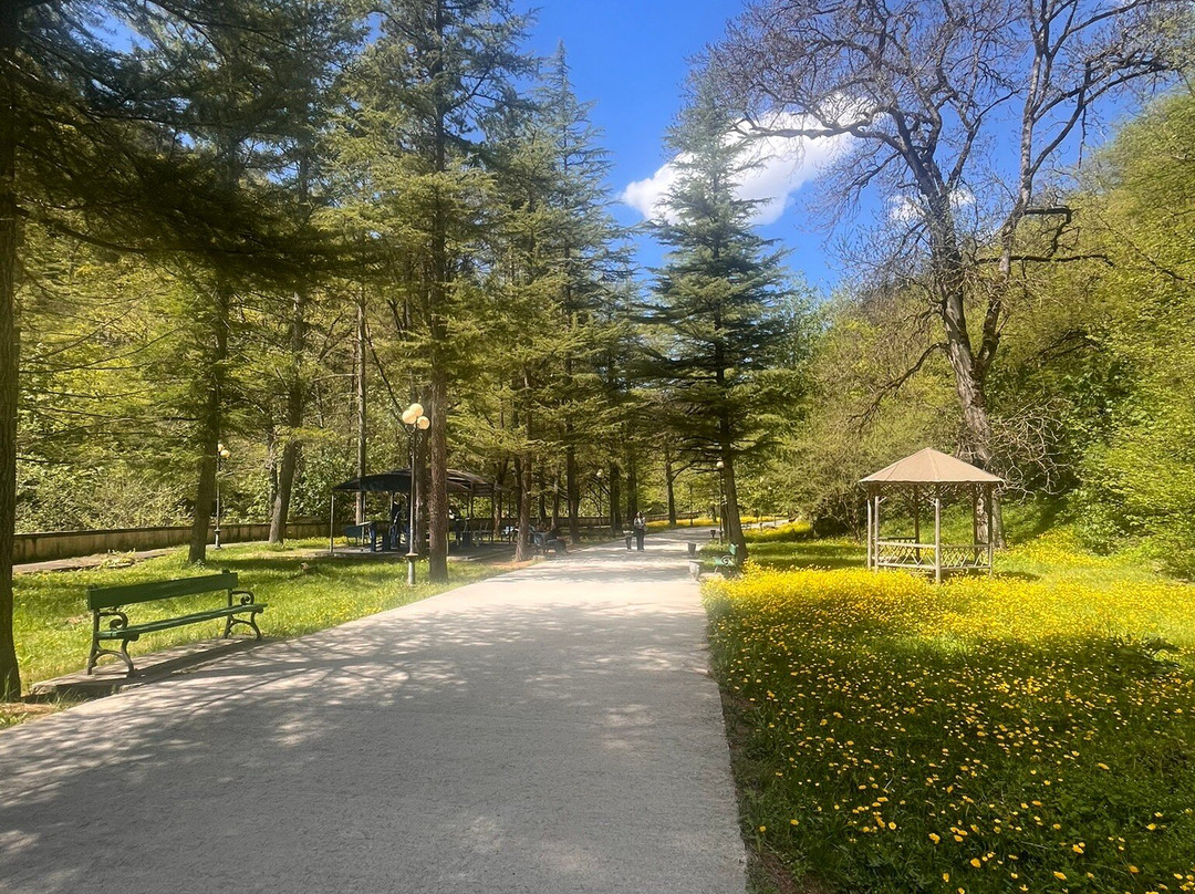 Borjomi Central Park-Borjomi必去景点