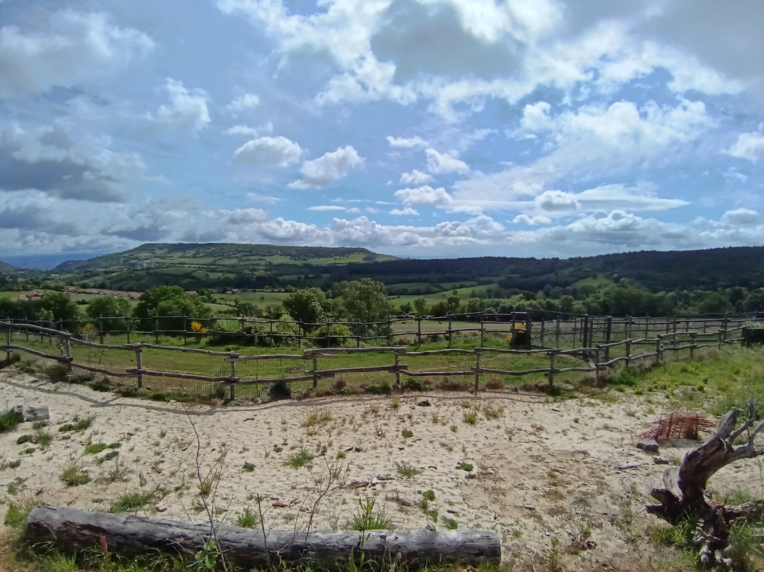 Parc Animalier d'Auvergne-Ardes必去景点