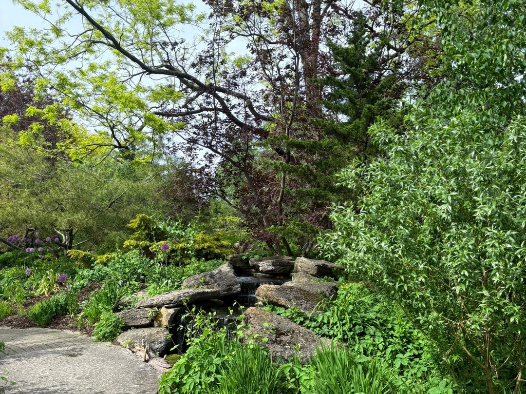 奥布里希热带植物园-麦迪逊必去景点
