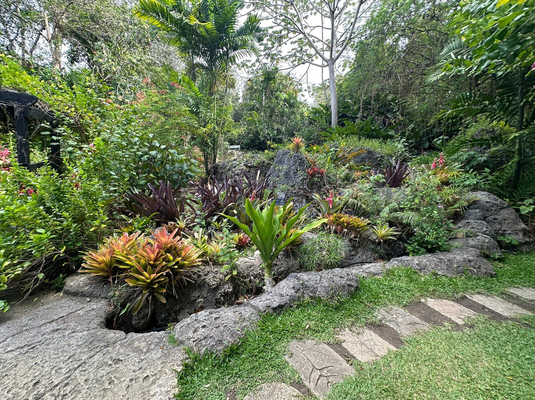 Andromeda Botanic Gardens-Bathsheba必去景点