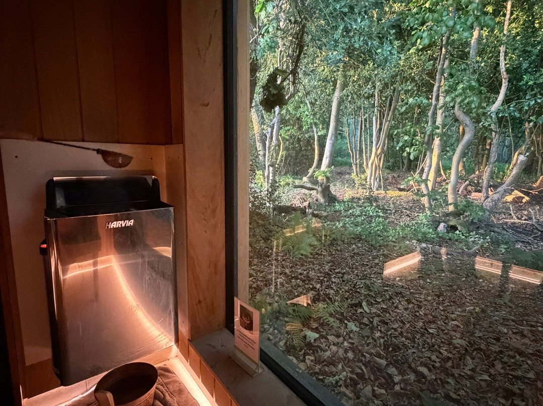 廷伍德葡萄园山林小屋主图
