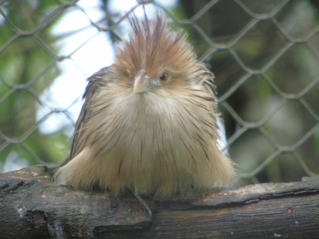 Zoo Bassin d'Arcachon-拉泰斯特德比克必去景点