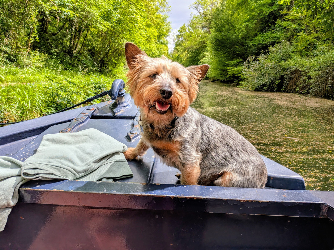 Narrowboat Day Hire-Tring必去景点