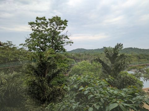 威斯林伍兹度假村-旅行者