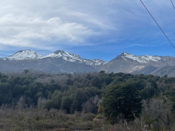 Las Bravas Lodge-旅行者