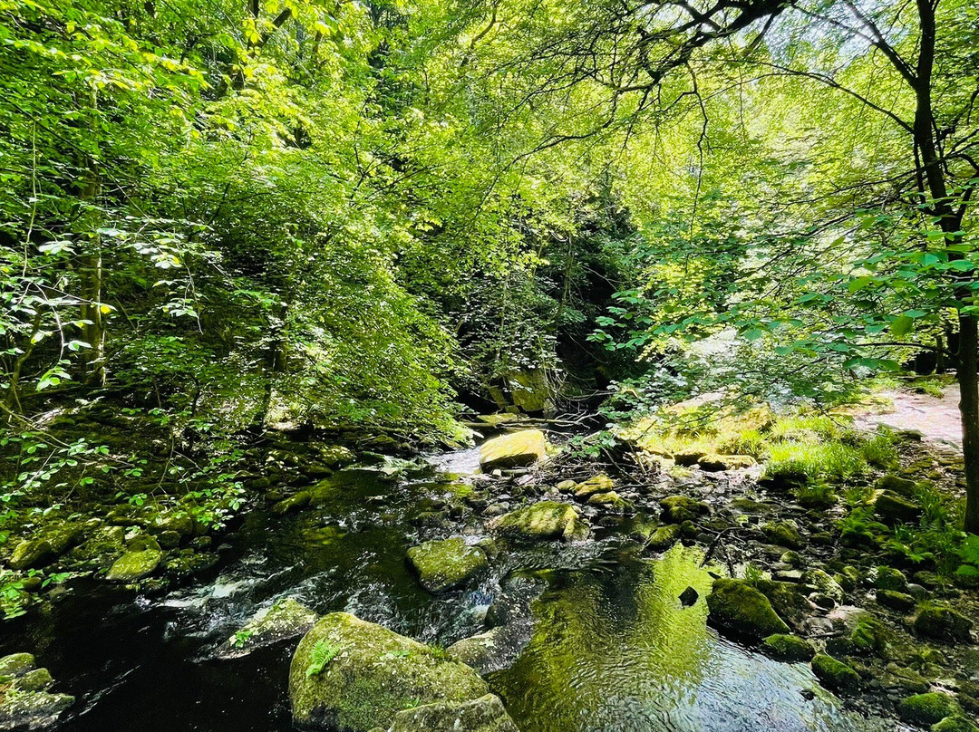 Hardcastle Crags-Hebden Bridge必去景点