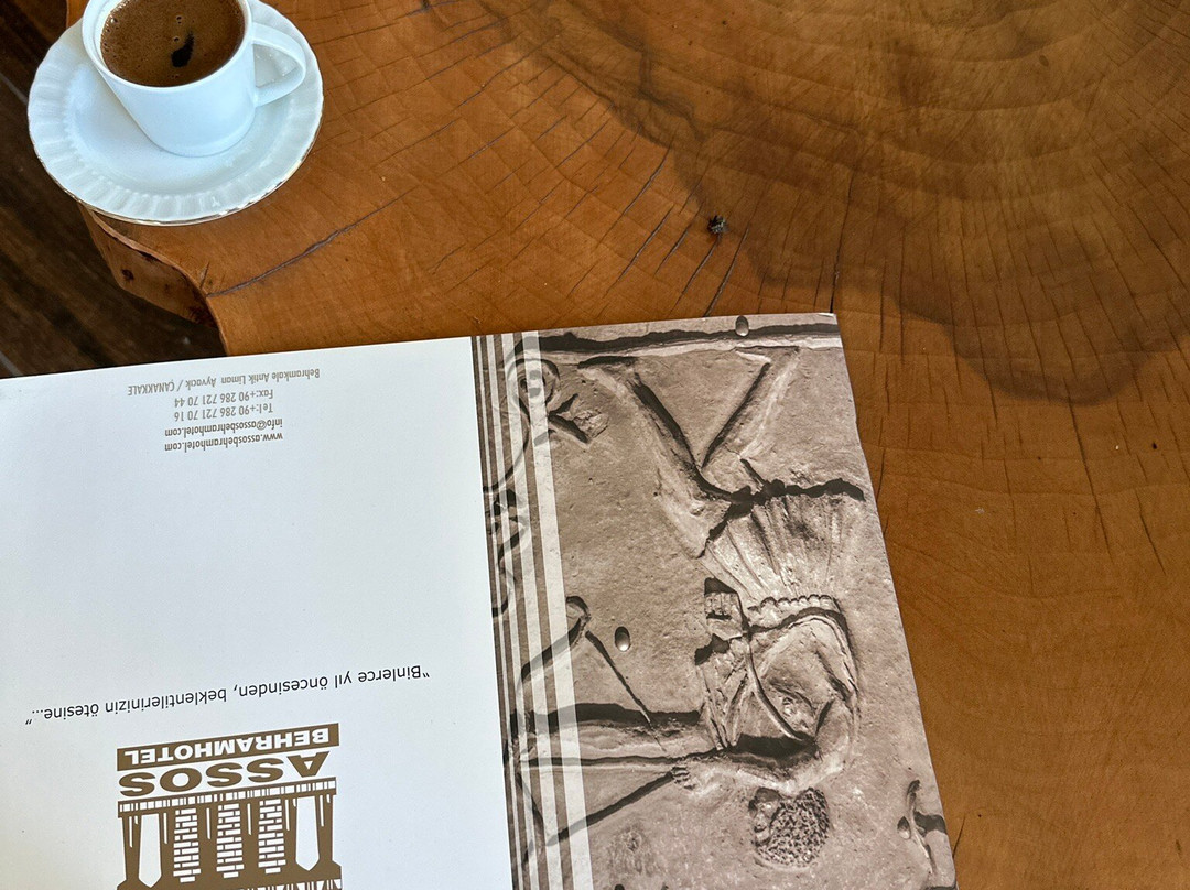 阿索斯巴巴洛萨特级酒店主图