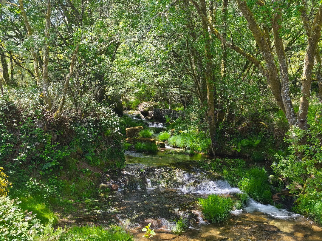Ecotura, Ecotourism and Nature Retreats-Castro Laboreiro必去景点