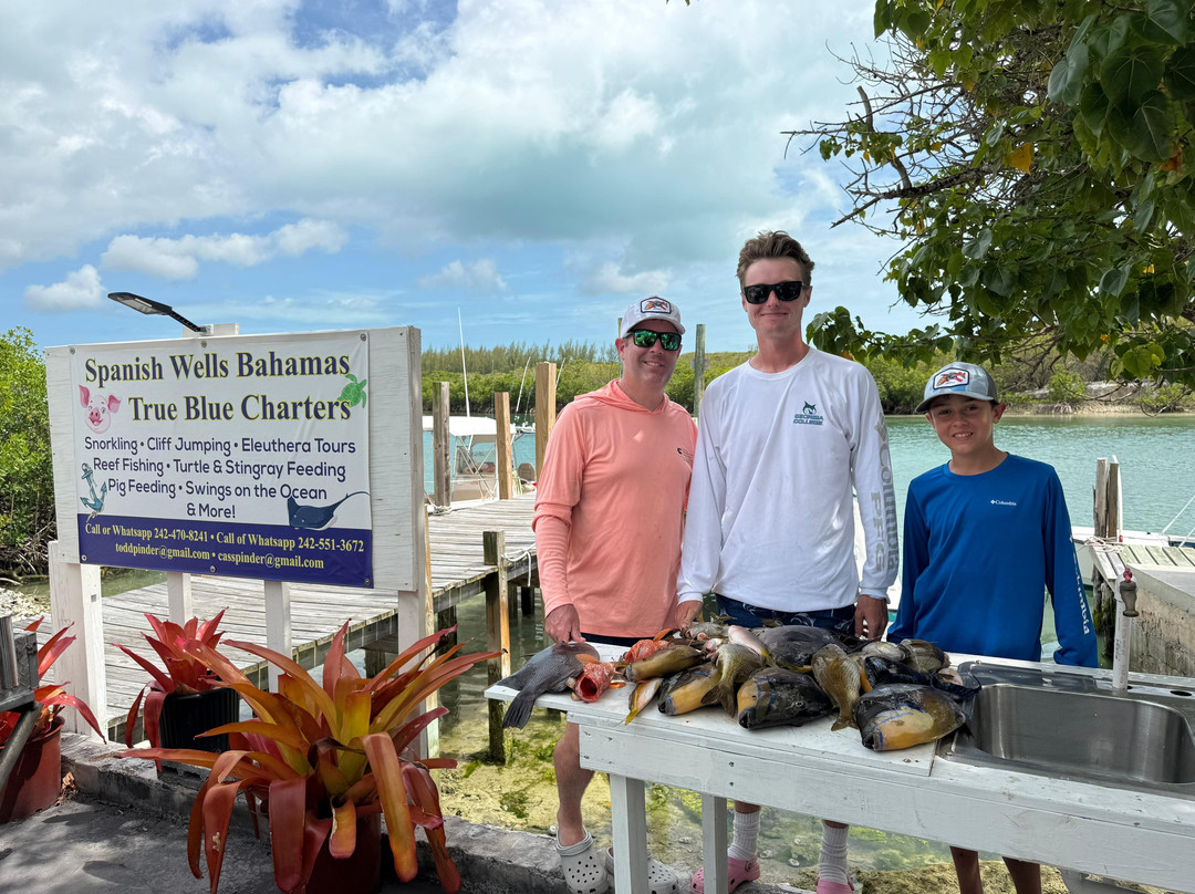 True Blue Charters | Spanish Wells Bahamas Guide-Spanish Wells必去景点