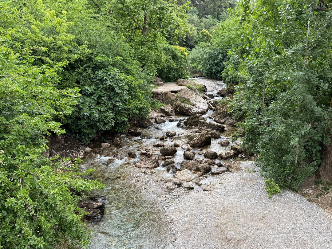 Ribnica Bridge (Most na Ribnici)-波德戈里察必去景点