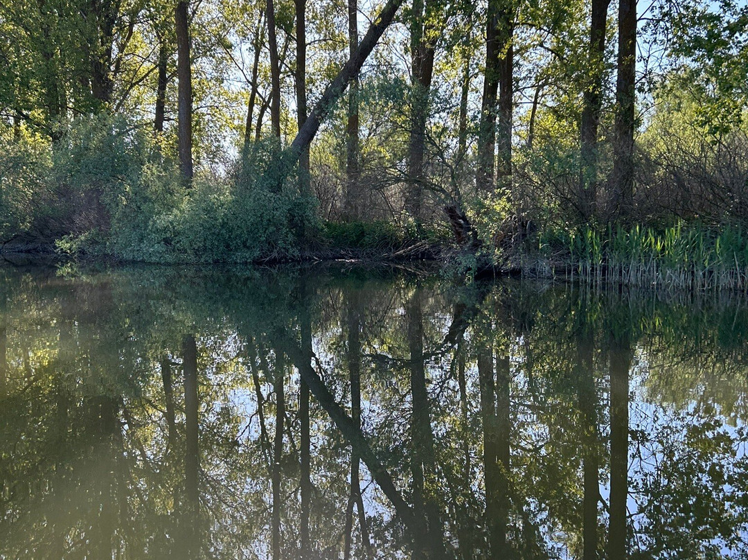 Tours in Delta with John-Crisan必去景点