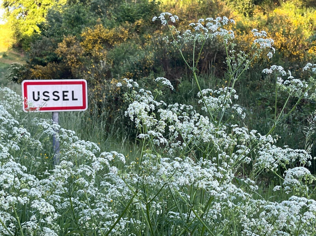 Chateau Du Theil