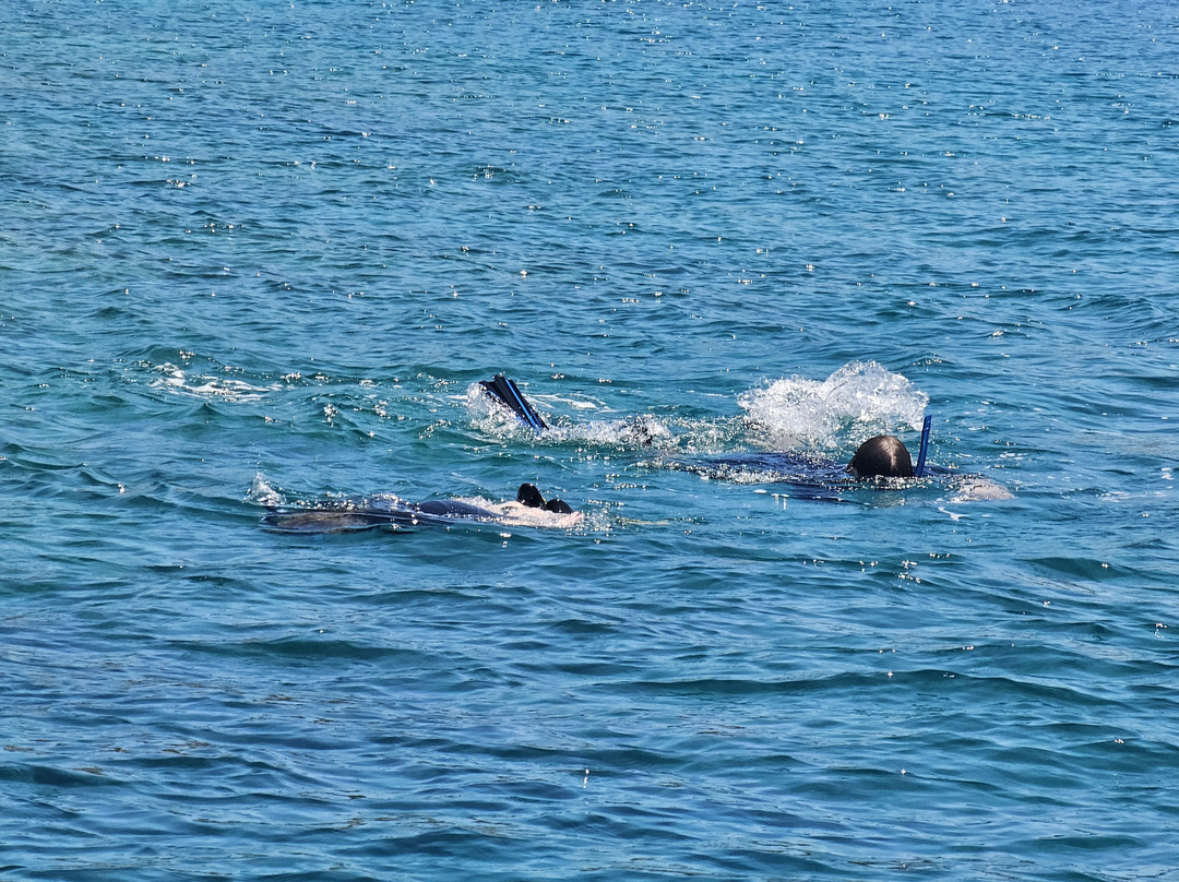 Pelagos Dive Centre-Agios Nikolaos必去景点