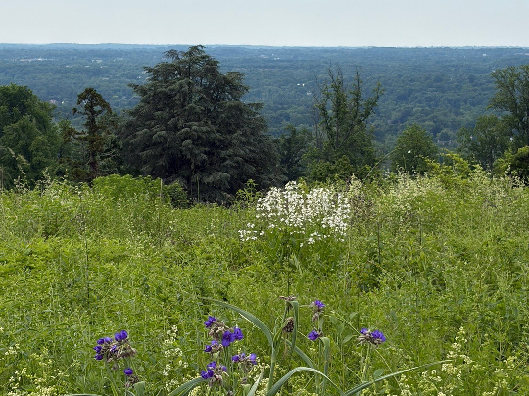 Baldpate Mountain-Titusville必去景点