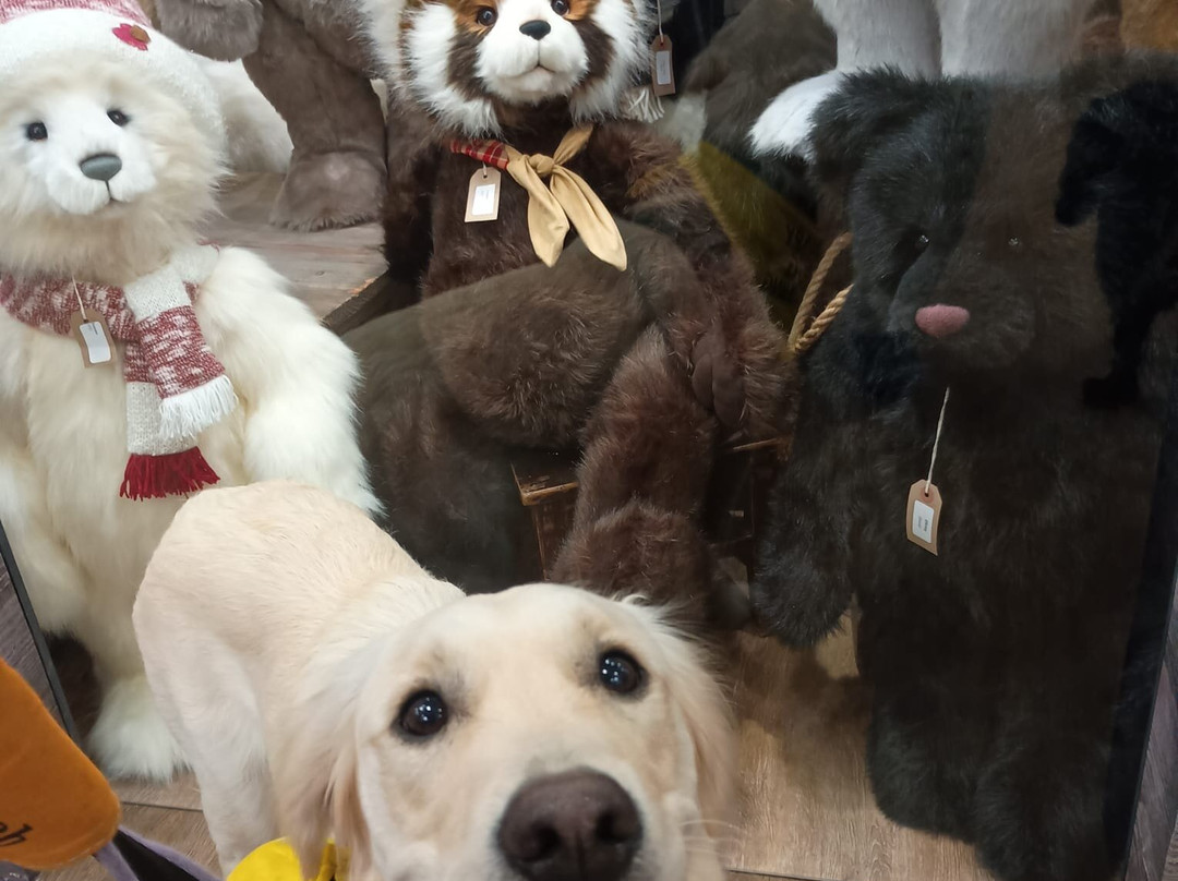 Charlie Bears Gallery & Shop-朗塞斯顿必去景点